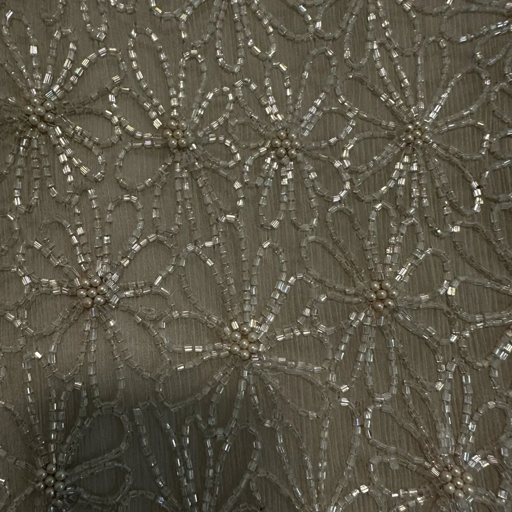 Mother of Bride Wedding Dress Adrianna Papell Taupe Beaded Top and Long Skirt 18 - Picture 4 of 12